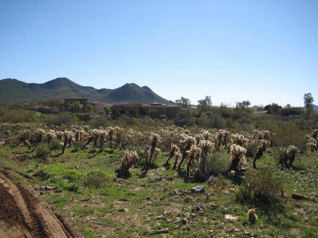 3201 West Long Rifle Road, Unit 3 Phoenix, AZ 85086 - Photo 1 of 4 Primary Photo