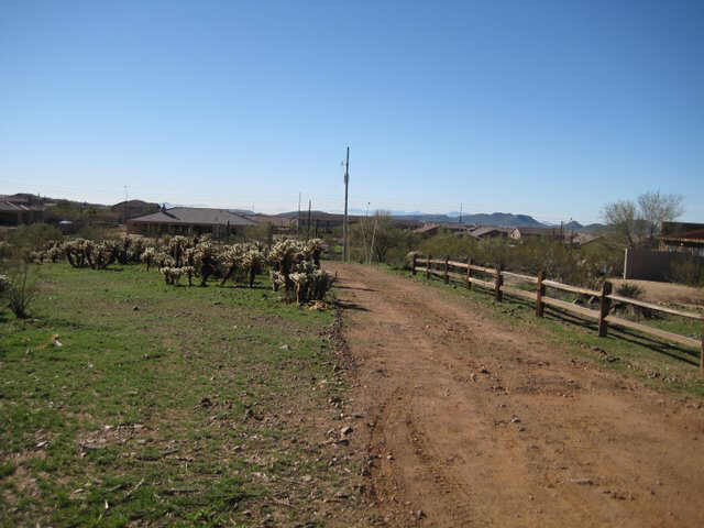 Additional Photo