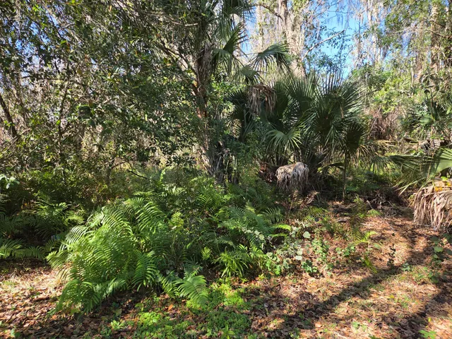 $115,000 | 640 River Drive, Sebring, FL 33875