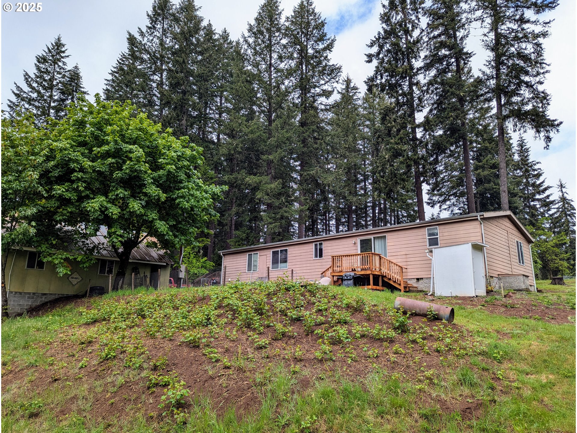 49244 Mountain View Road Oakridge, OR 97463 - Photo 26 of 30 a view of a house with a yard