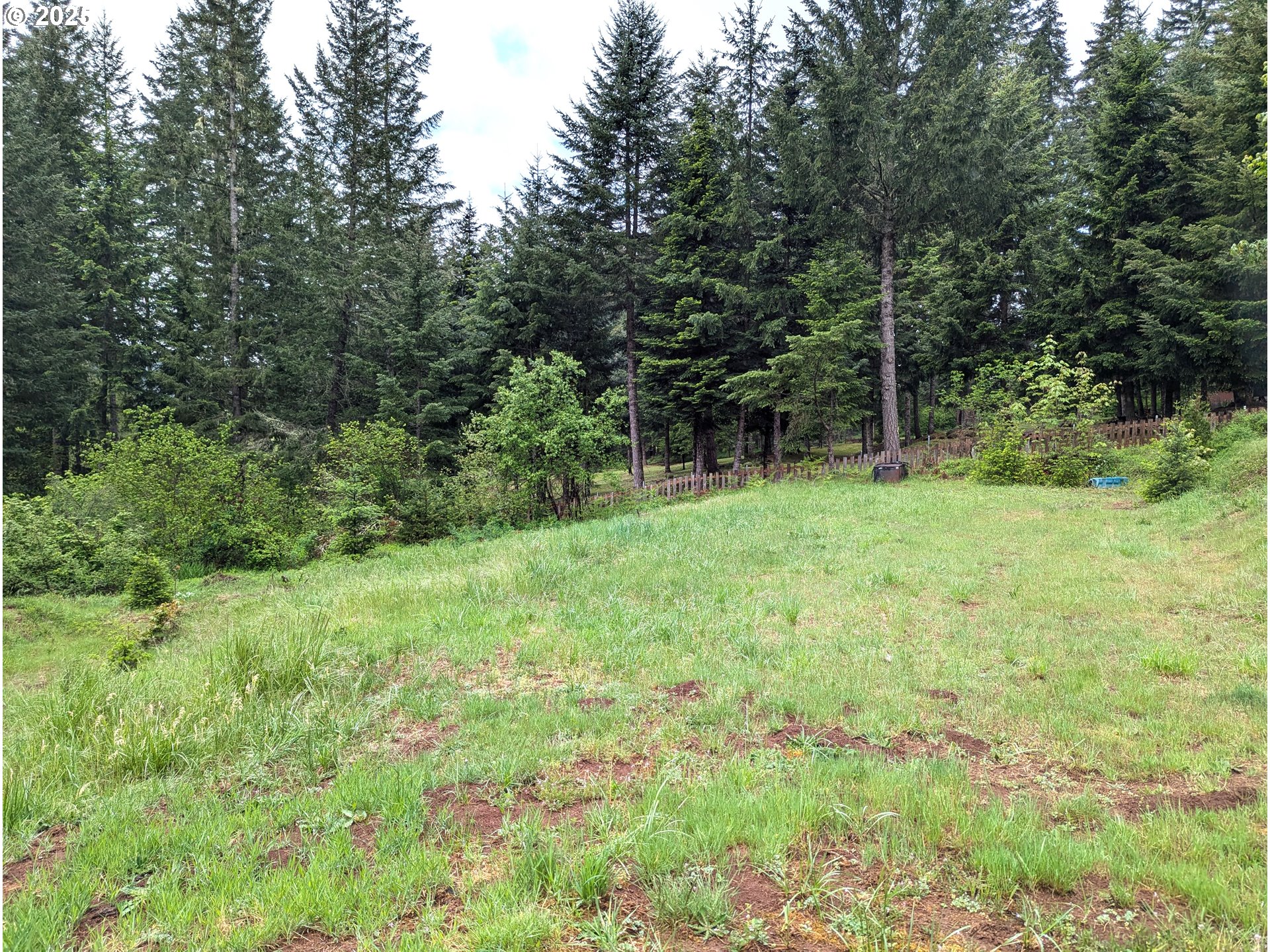 49244 Mountain View Road Oakridge, OR 97463 - Photo 27 of 30 a view of an outdoor space and a yard