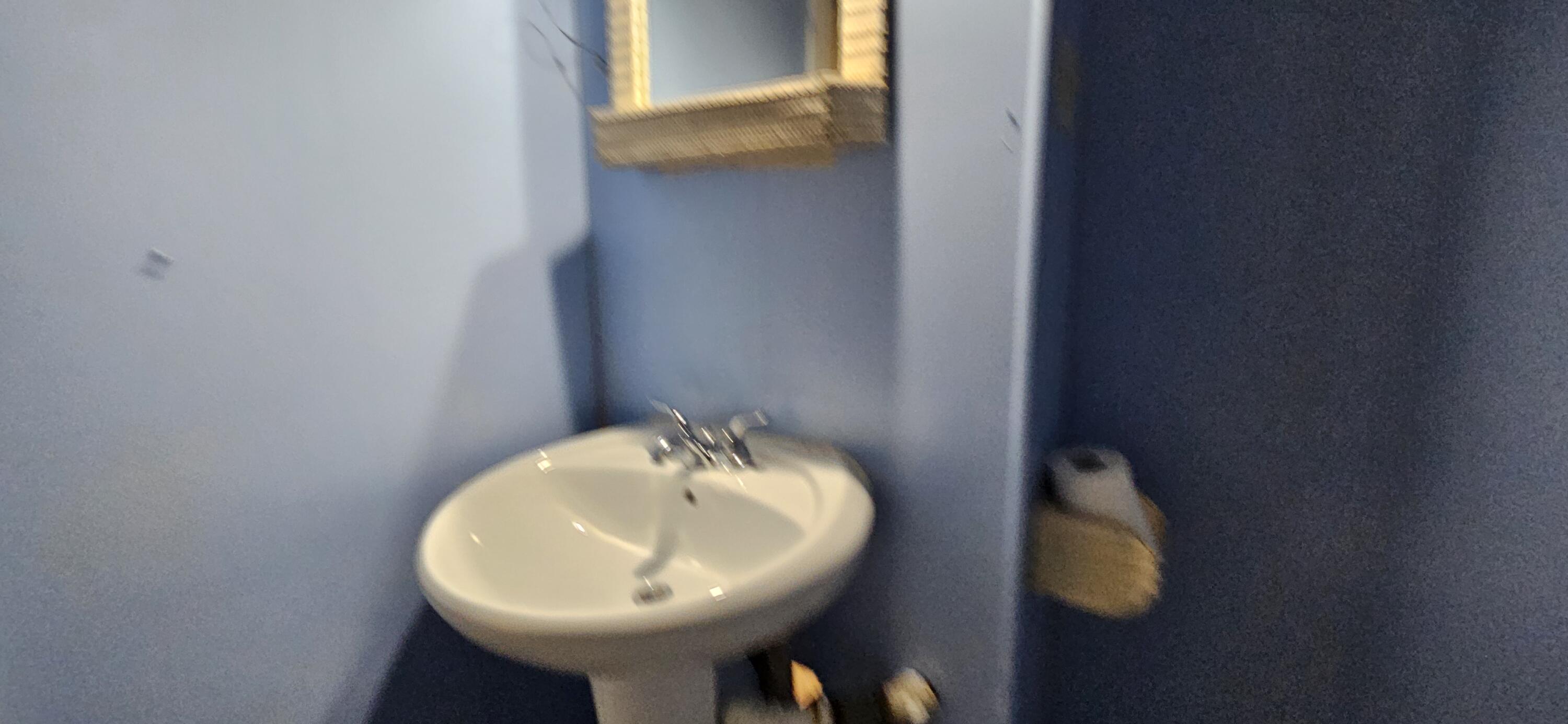 7419 Maple Avenue Gary, IN 46403 - Photo 68 of 93 a bathroom with a sink and mirror