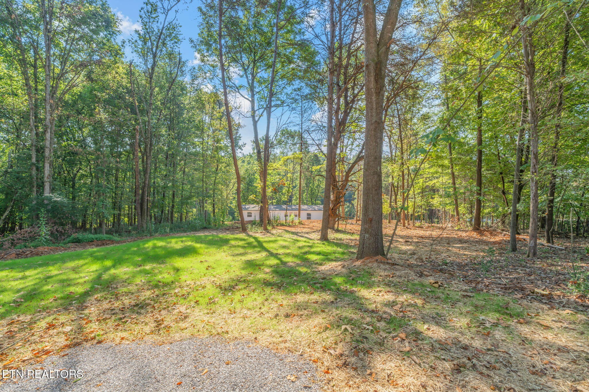 400 Matlock Trail Loudon, TN 37774 - Photo 42 of 50 a view of a yard with trees