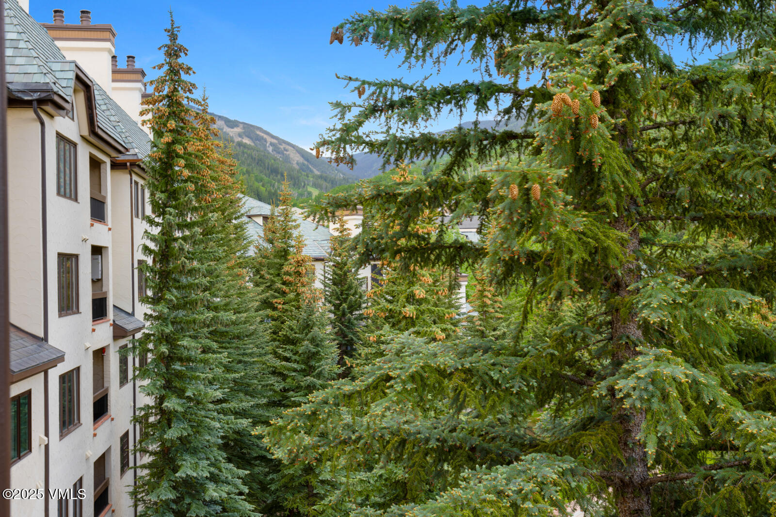 120 Offerson Road, Unit 7320 Beaver Creek, CO 81620 - Photo 25 of 50 Beautiful alpine views