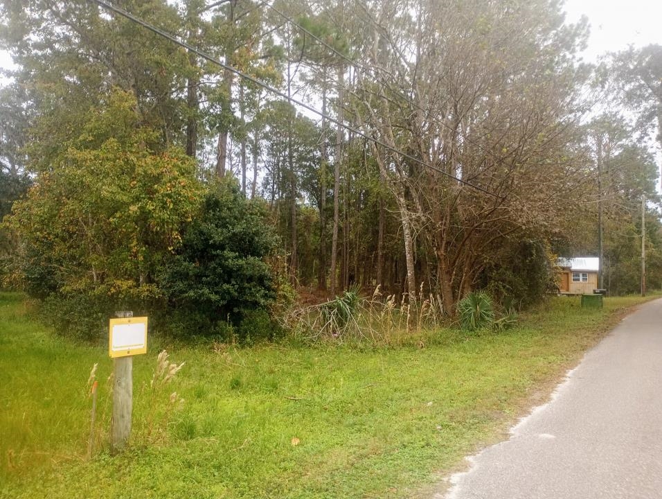 2890 Hilltop Road St. Augustine, FL 32086 - Photo 1 of 11 Gallery Image 1