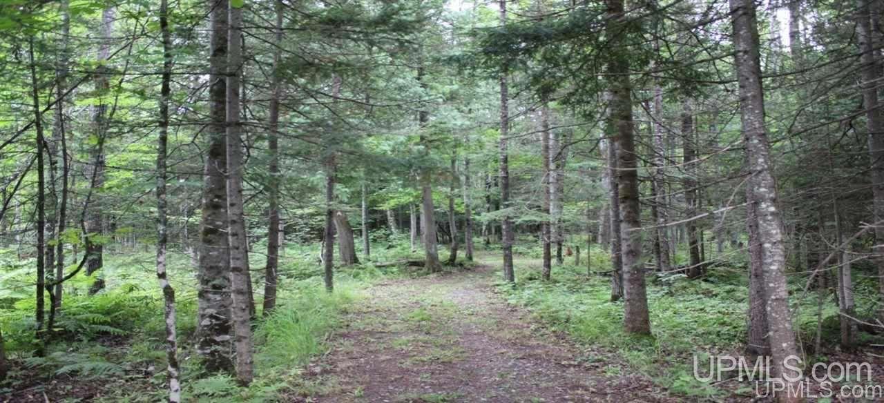 Tbd North Angeli Road, Unit 15 Iron River, MI 49935 - Photo 12 of 15