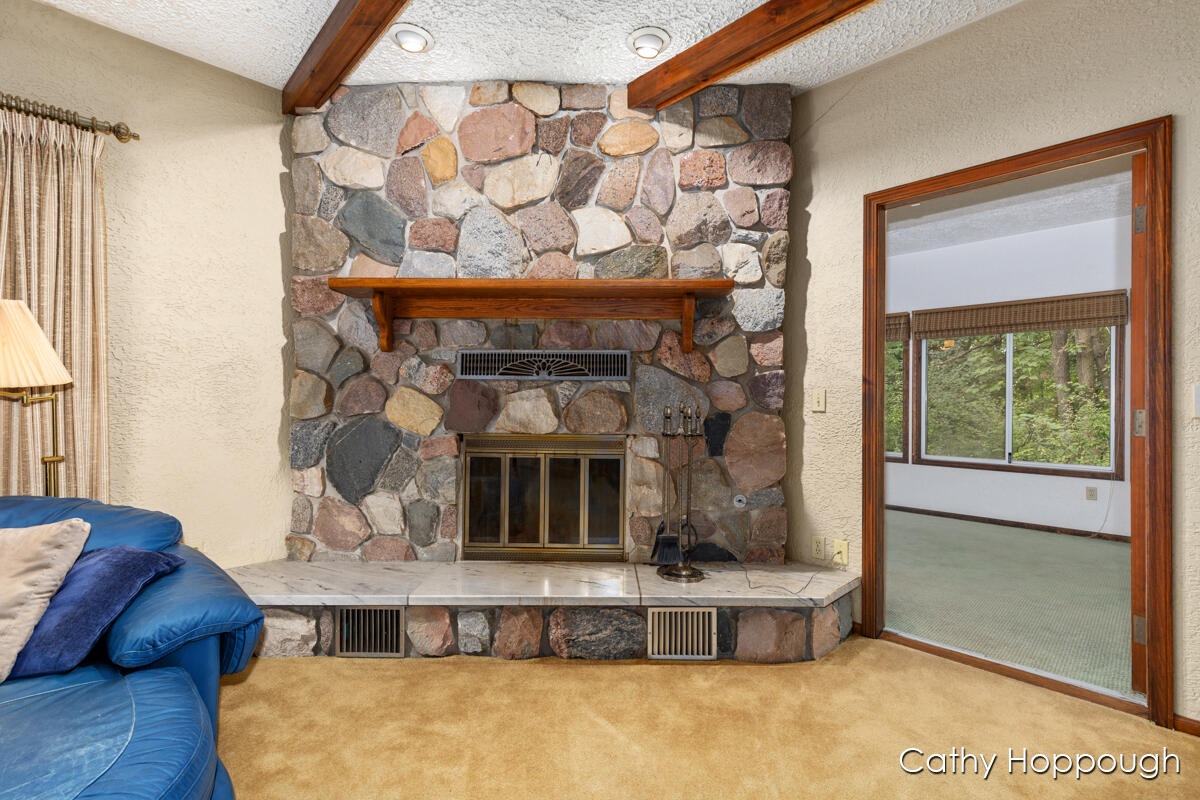735 Prairie Creek Road Ionia, MI 48846 - Photo 10 of 81