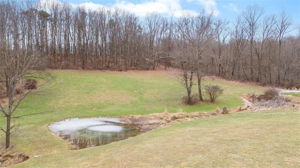 136 Hammond Road Mars, PA 16046 - Photo 39 of 48 a view of a yard