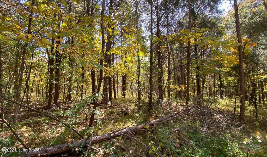L47 Ted Logsdon Road Clarkson, KY 42726 - Photo 1 of 11 River View Fall250