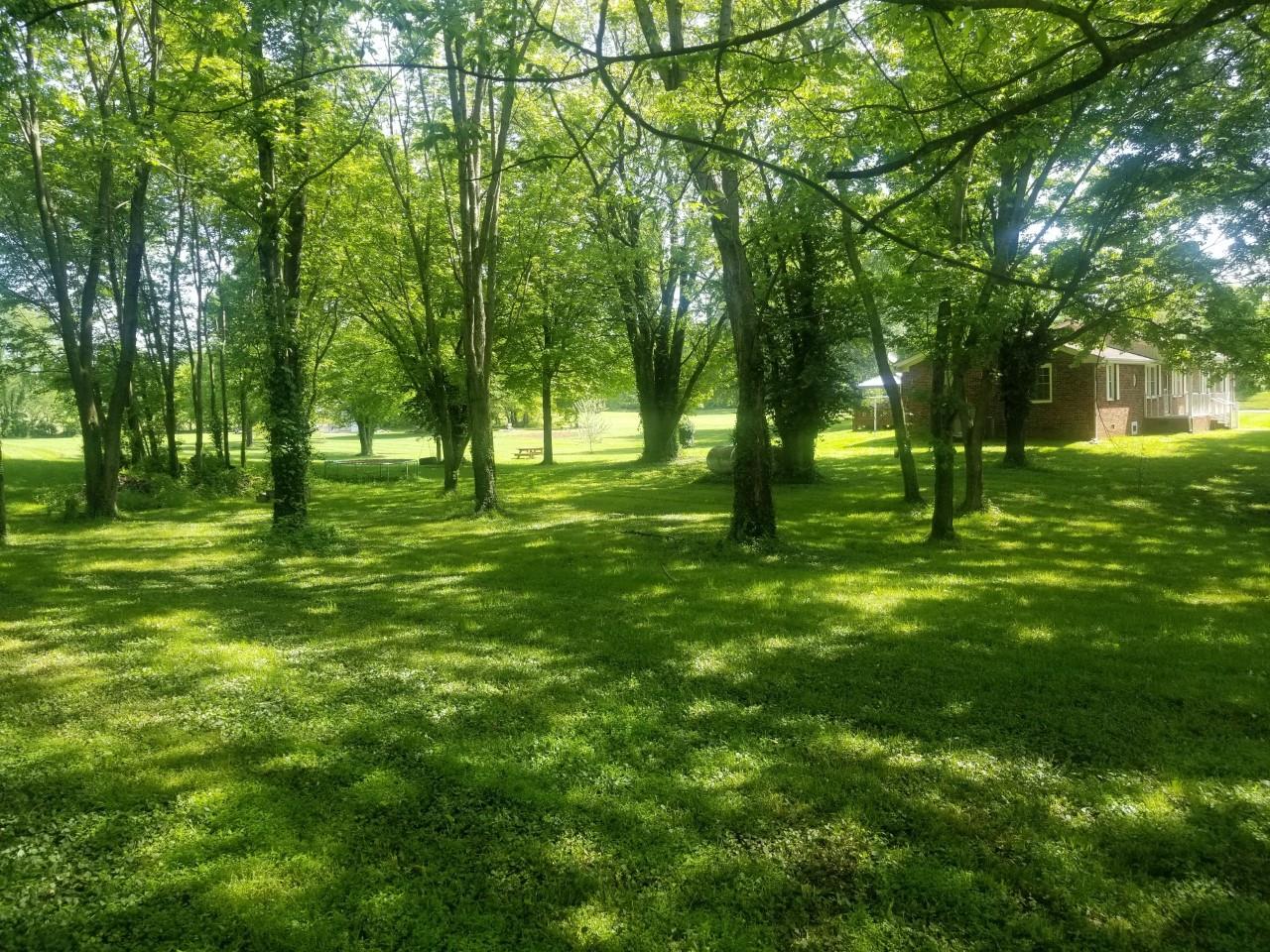 8462 Guthrie Road Cross Plains, TN 37049 - Photo 20 of 21 Lots of mature trees on the property.