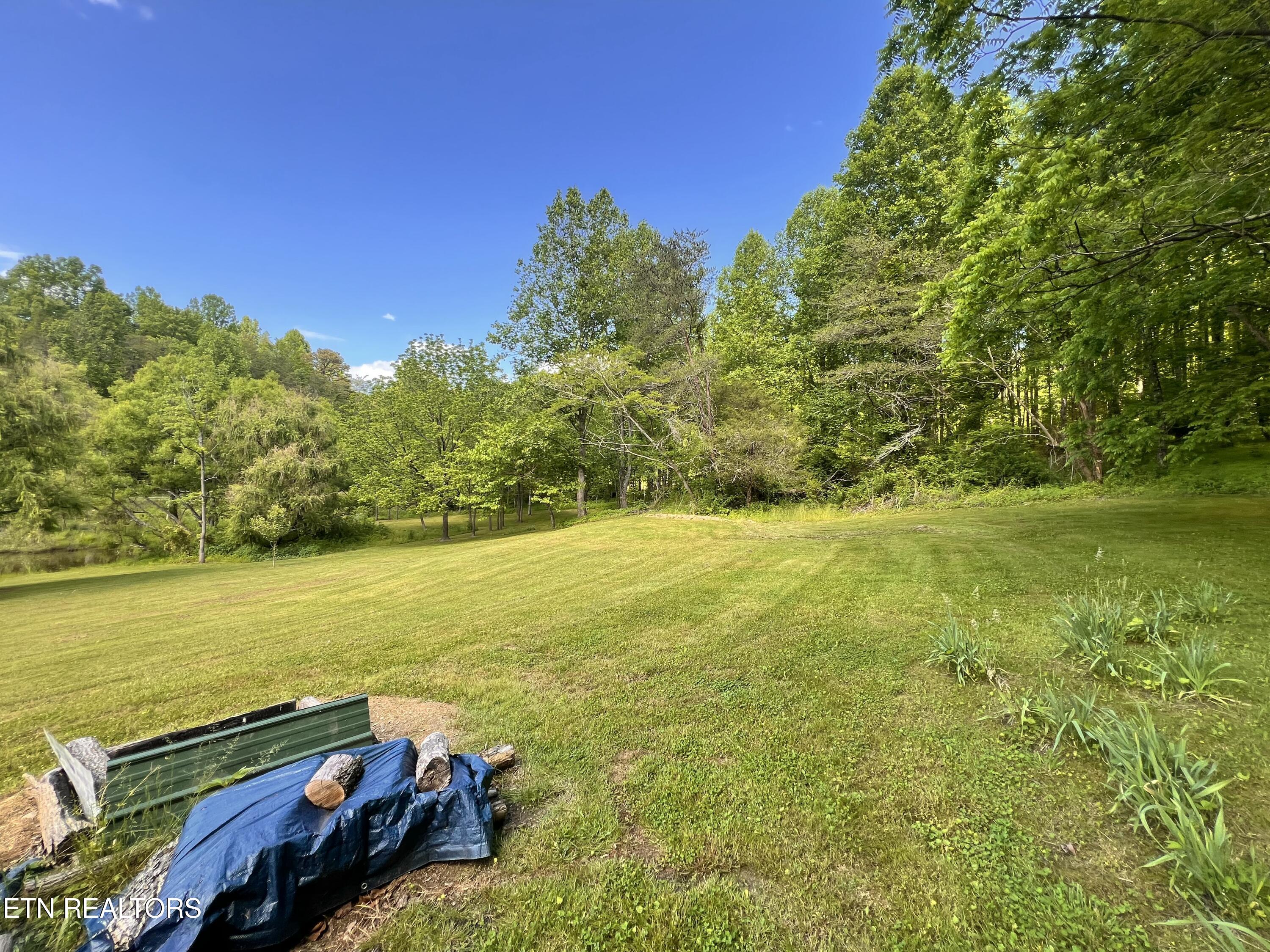 4040 Trail Hollow Road Cosby, TN 37722 - Photo 33 of 60 IMG_7328