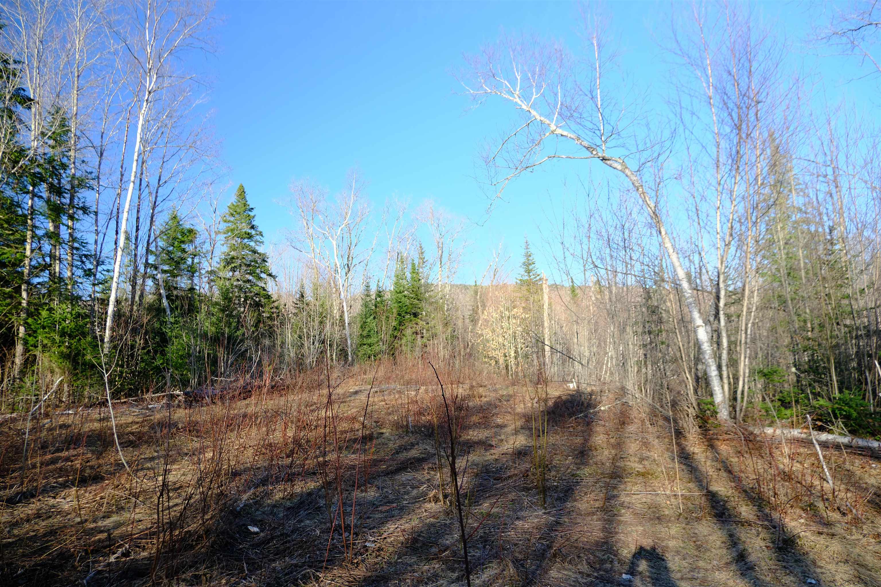 208 Drake Pl Road Sheffield, VT 05866 - Photo 4 of 27