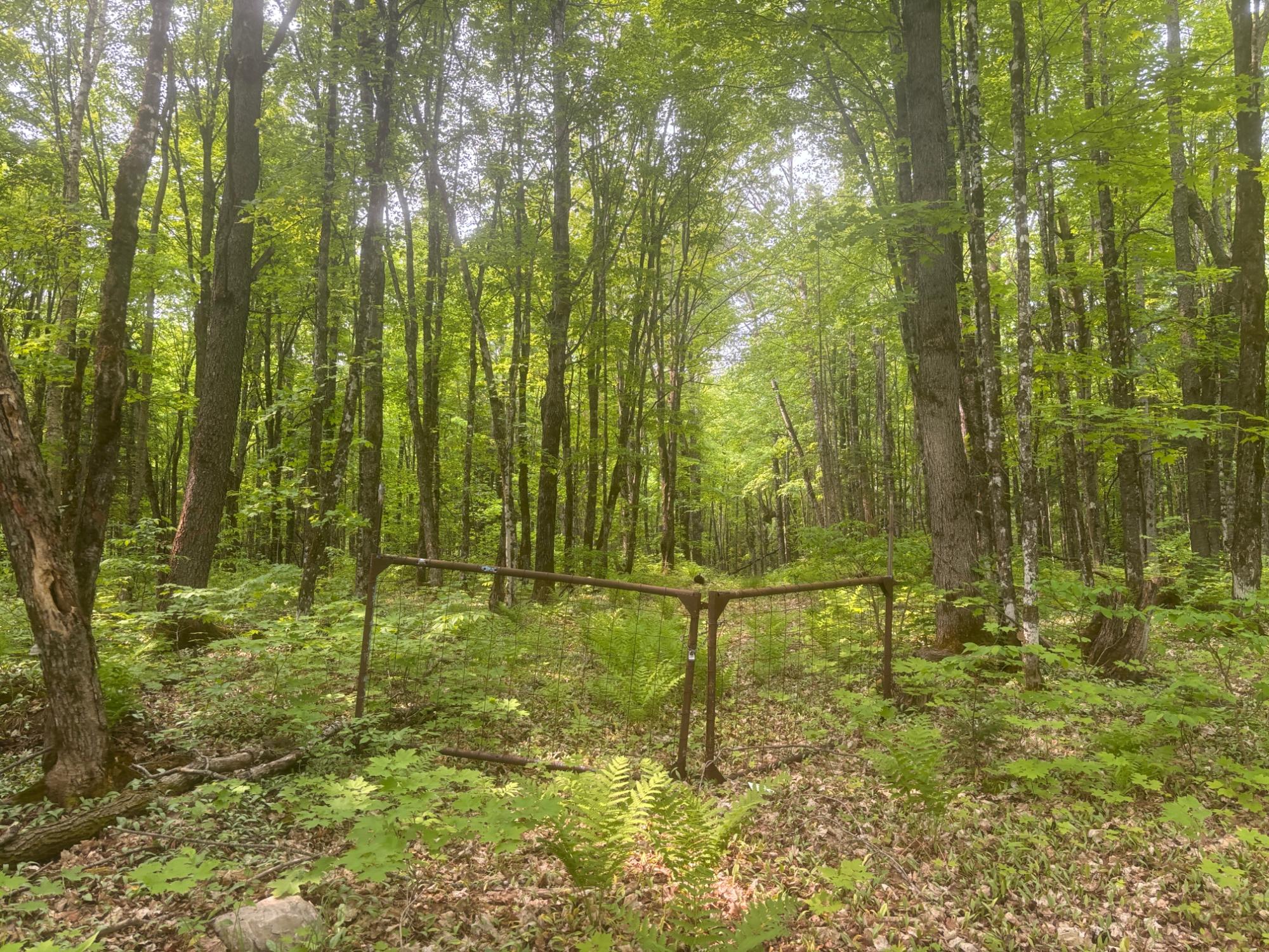Gallery Image 6