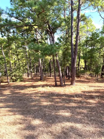 $2,295 | 132 Akaloa Drive, Bastrop, TX 78602