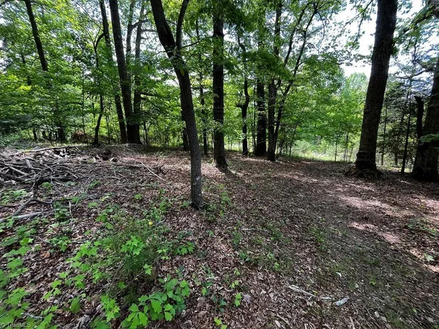 $20,000 | 0 Virgilina Circle, Cana, VA 24317