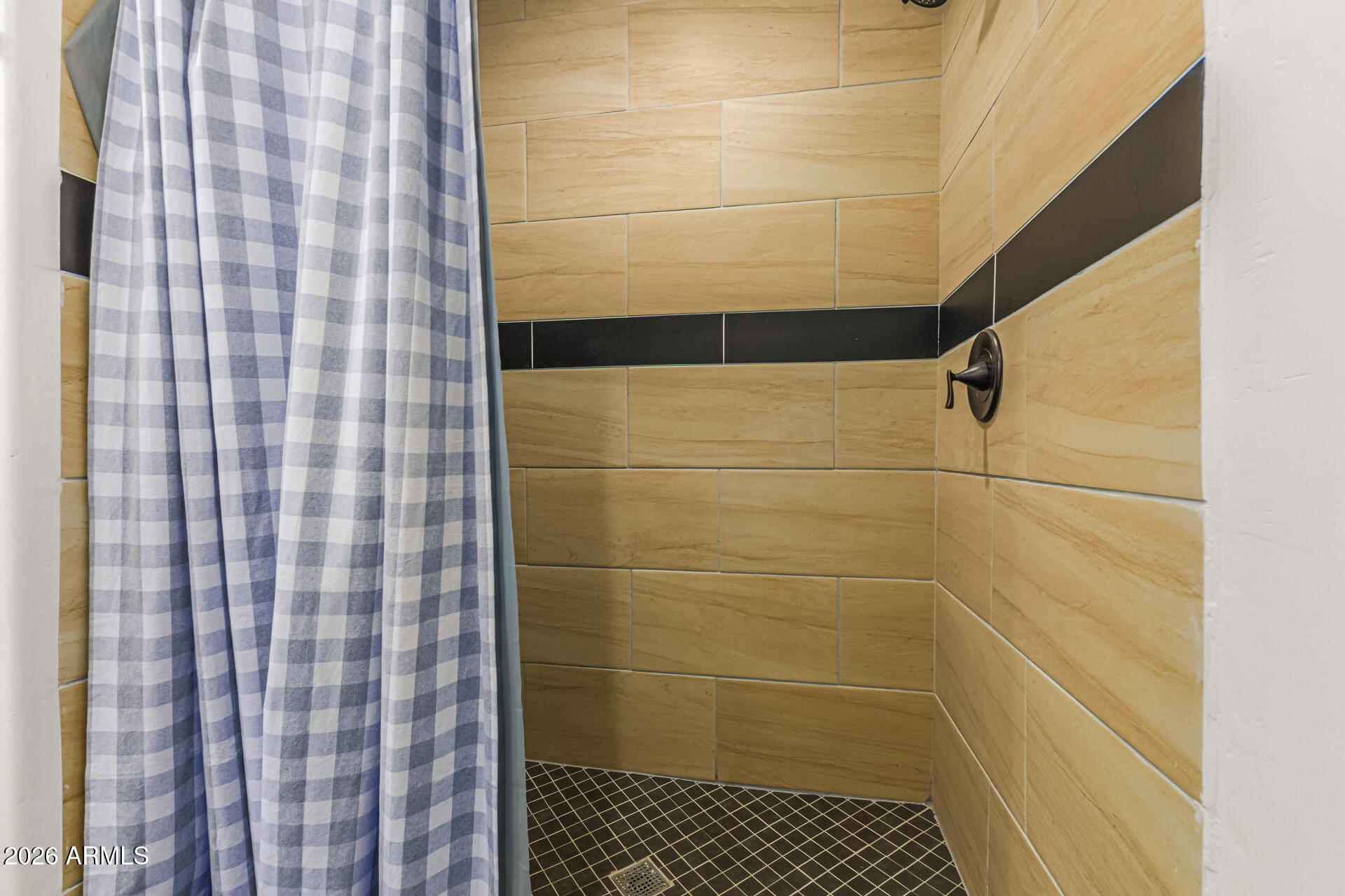 16732 West White Wing Road Surprise, AZ 85387 - Photo 21 of 56 33 White