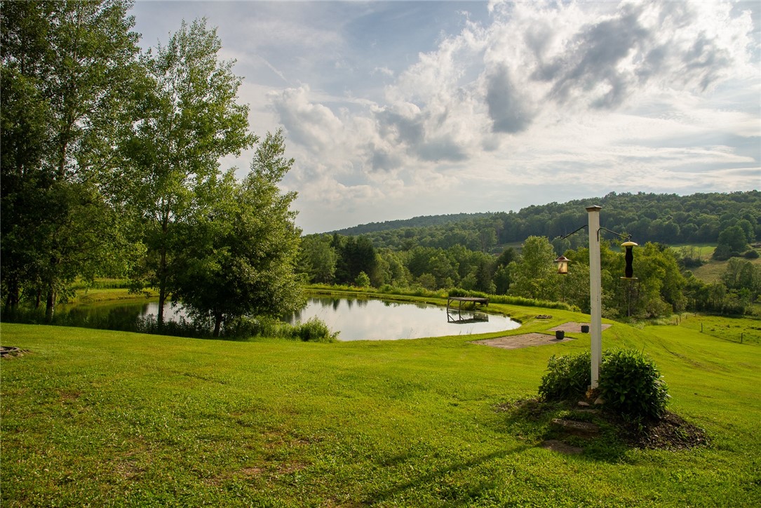 1635 Chipmunk Hollow Road Walton, NY 13856 - Photo 3 of 30