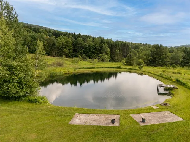 $245,000 | 1635 Chipmunk Hollow Road, Walton, NY 13856