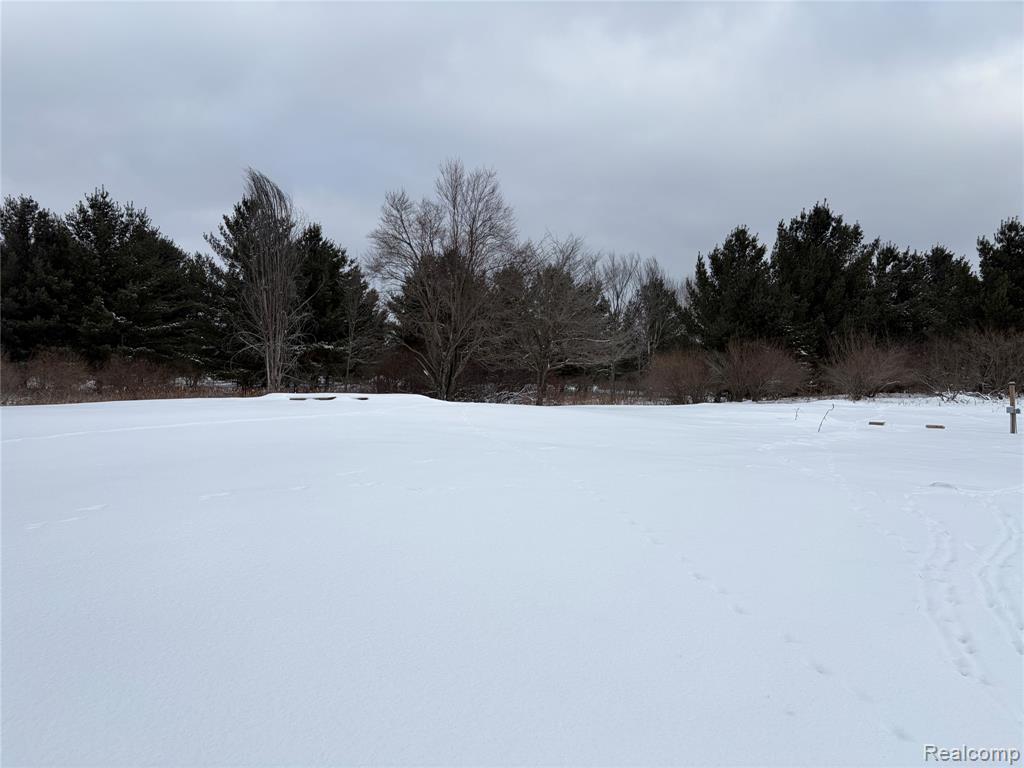 5467 Wellington Road Gladwin, MI 48624 - Photo 4 of 22