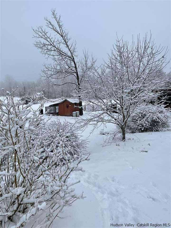 434 Cottekill Road Kingston, NY 12401 - Photo 34 of 35 a view of a dry yard with trees