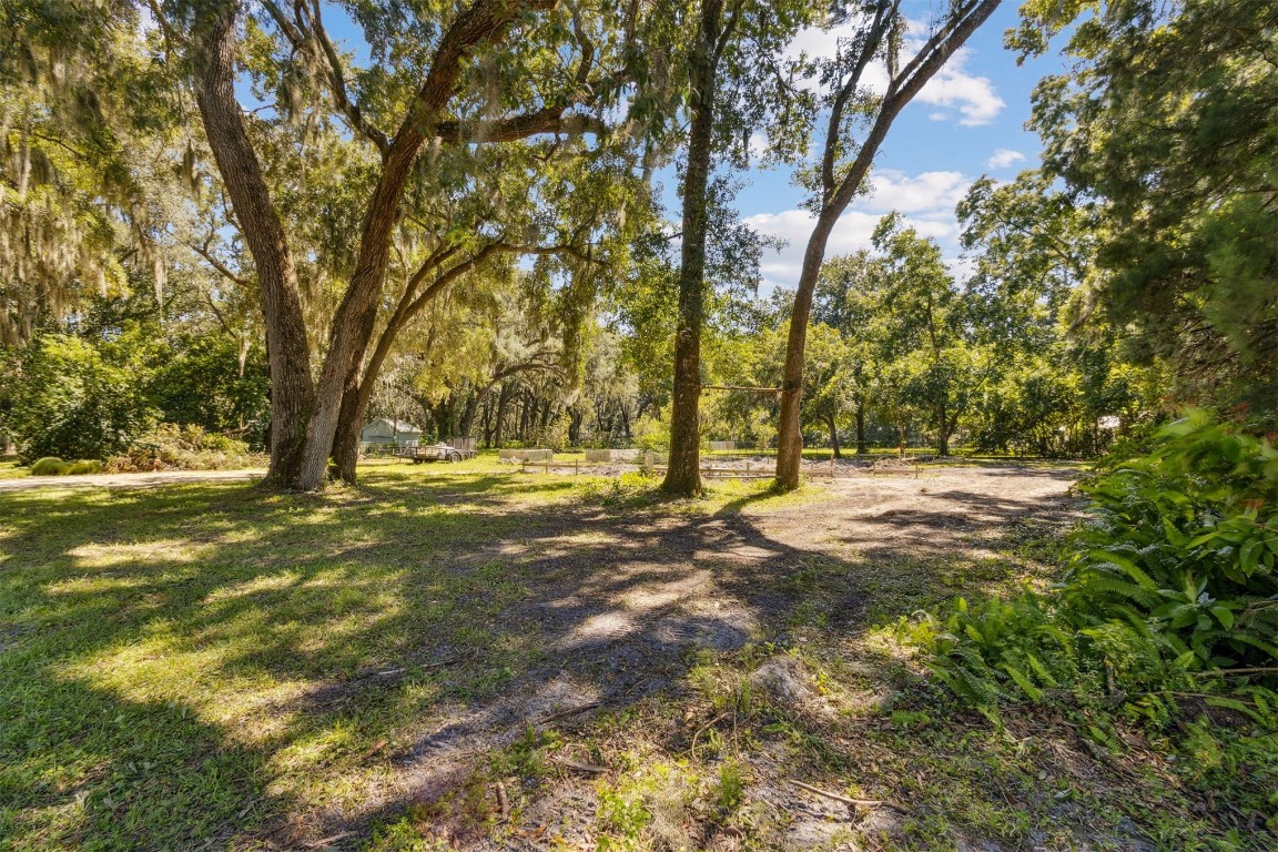766 Adams Road Fernandina Beach, FL 32034 - Photo 15 of 31 a view of tree next to a yard