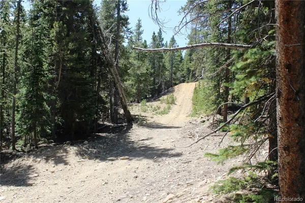 $58,000 | 630 Fs 417.1, Black Hawk, CO 80422