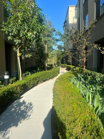 a view of a backyard with plants
