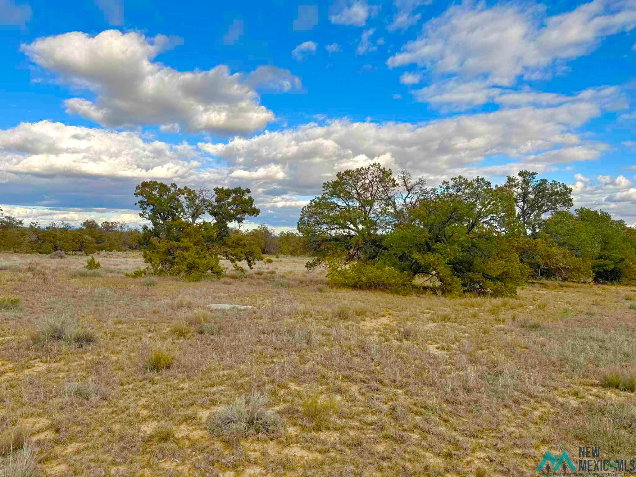 98 Great White Father Road Ramah, NM 87357 - Photo 7 of 16