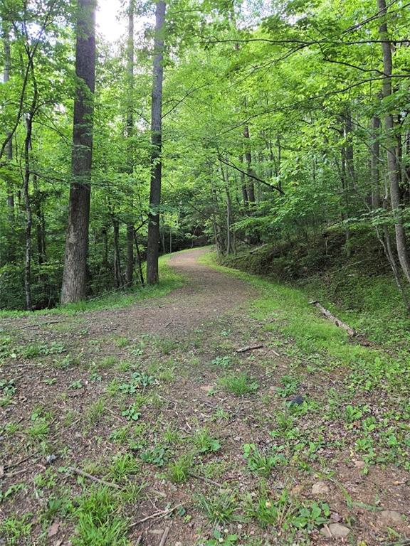 1984 Horseshoe Road Westfield, NC 27053 - Photo 42 of 47