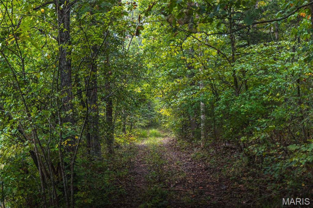 5071 Mill Rock Road Gerald, MO 63037 - Photo 20 of 42 Gallery Image 20
