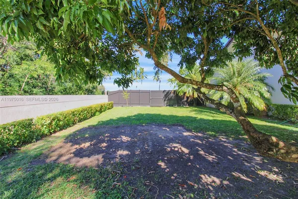 a view of a yard with plants and a large tree