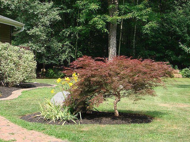 132 Killearn Road Millbrook, NY 12545 - Photo 15 of 49