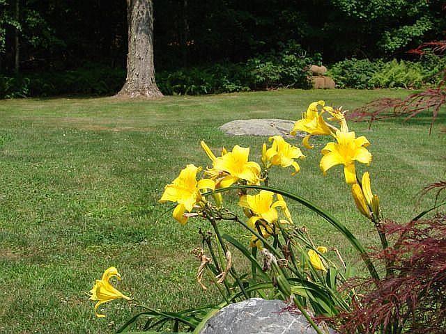 132 Killearn Road Millbrook, NY 12545 - Photo 7 of 49