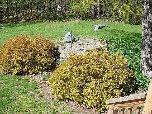 132 Killearn Road Millbrook, NY 12545 - Photo 9 of 49