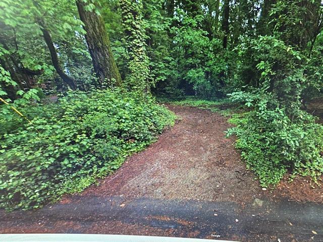 0 Santa Ana Road Los Gatos, CA 95033 - Photo 6 of 9 a view of a garden with plants