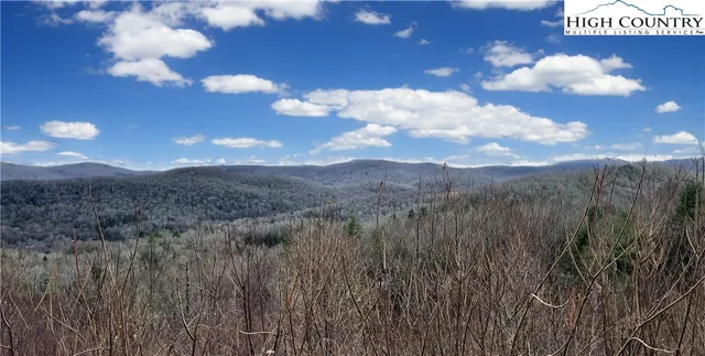 a view of a city with green space