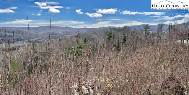a view of a room with a chandelier fan and a rug