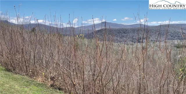 a view of a fountain in middle of a yard