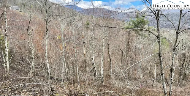 a close up of a shower