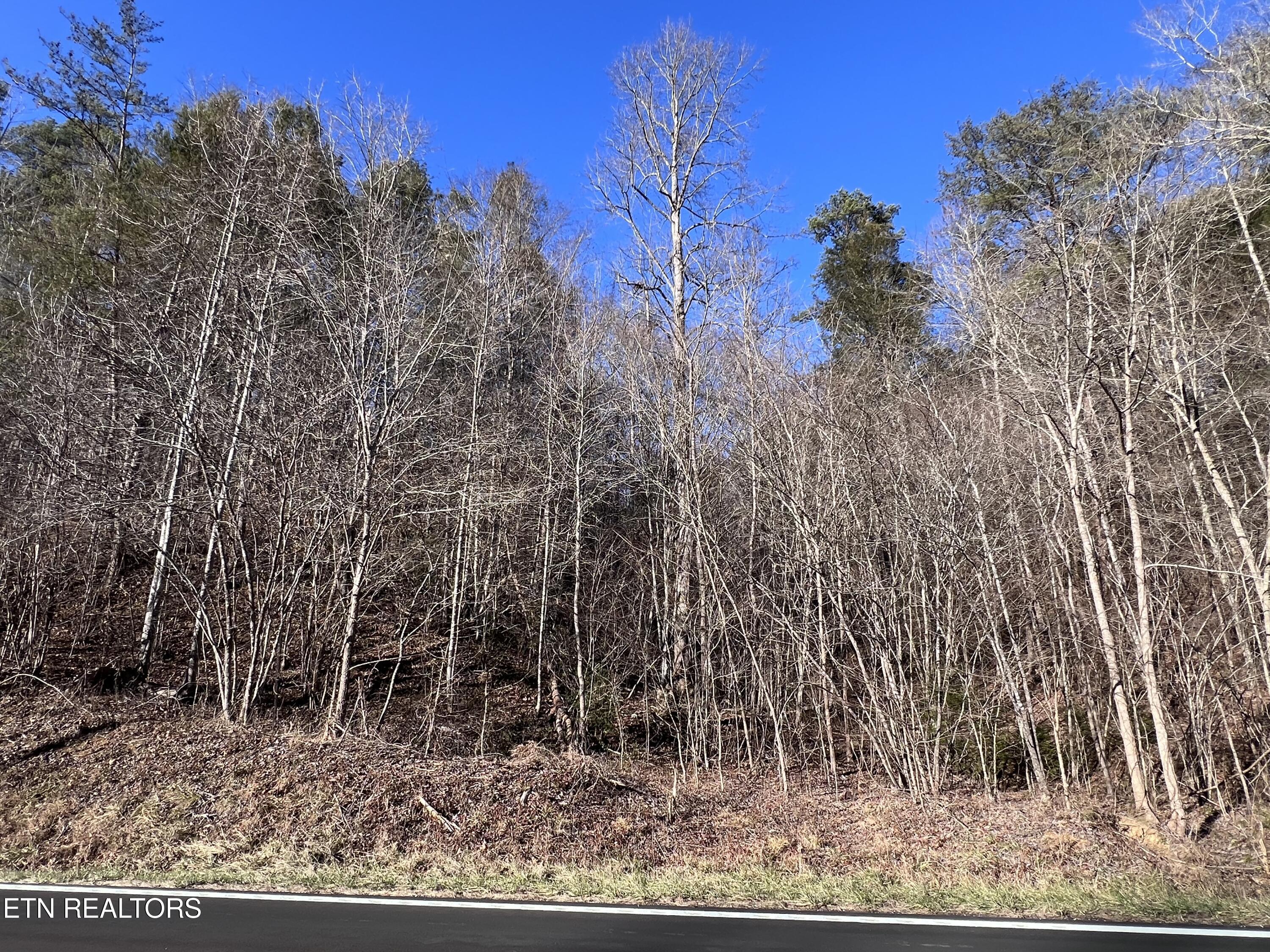 17 Jones Cove Road Cosby, TN 37722 - Photo 1 of 2 Jones IMG_1169
