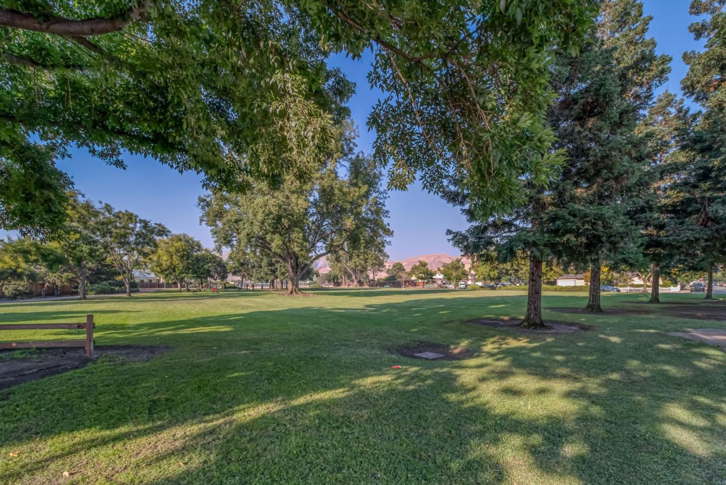 1433 Big Basin Drive Milpitas, CA 95035 - Photo 23 of 23 a backyard of apartments with large trees