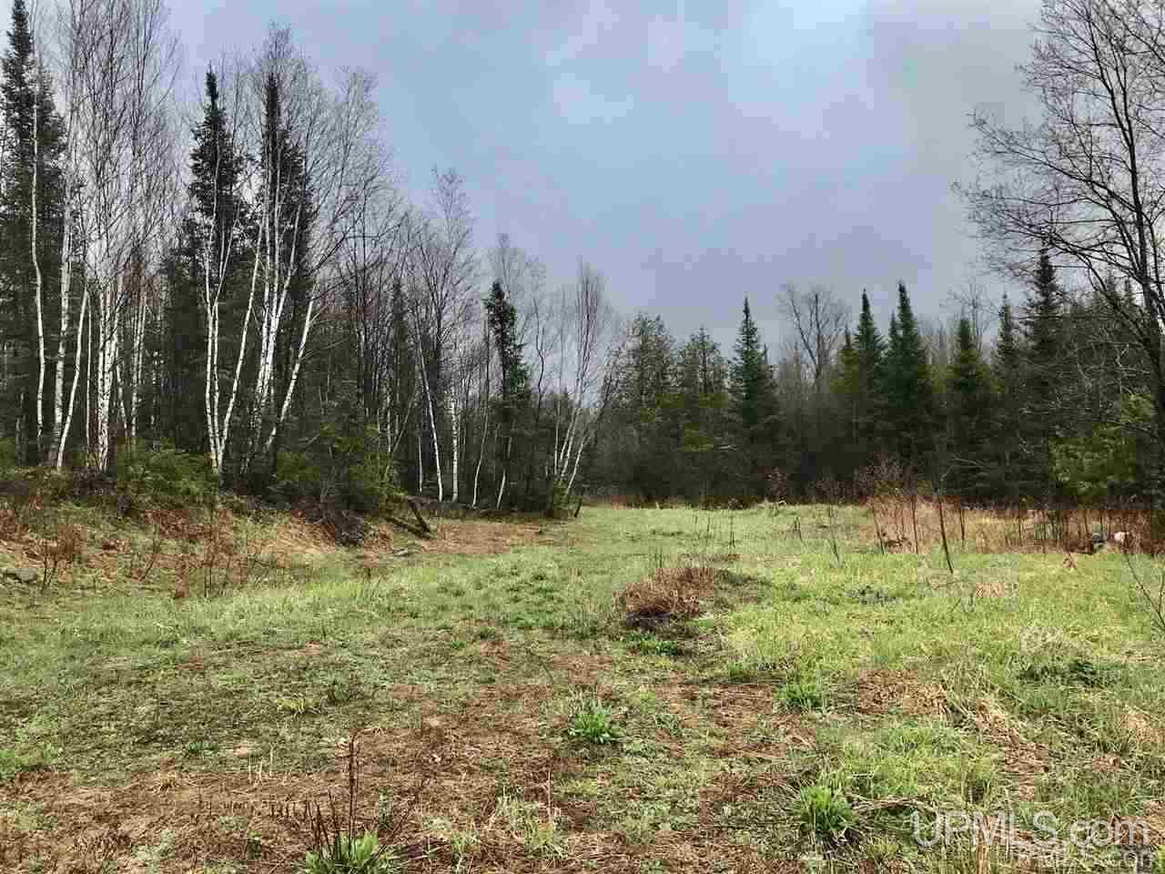 Tbd South Co Rd 519 Highway Bessemer, MI 49911 - Photo 1 of 10