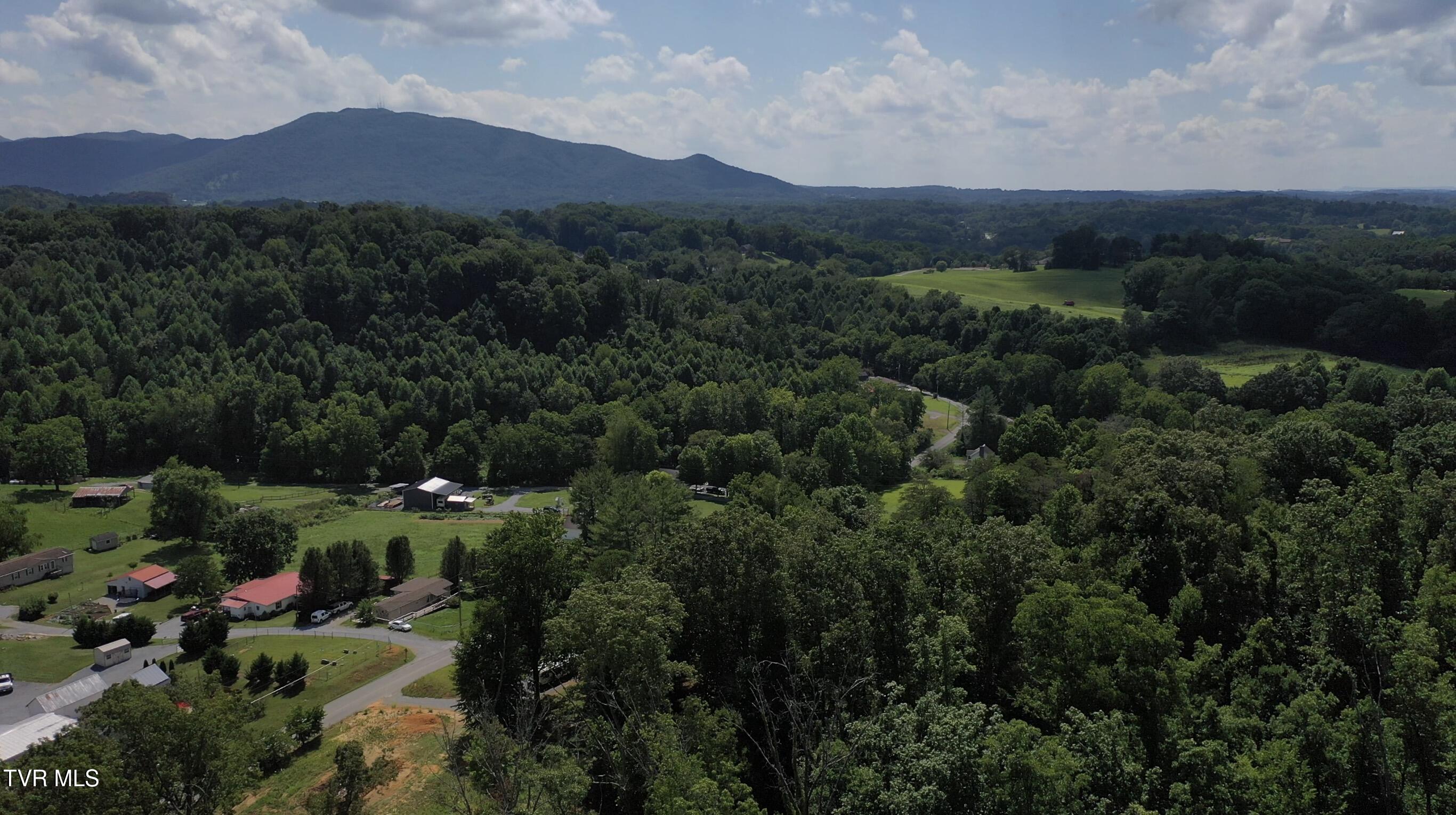 12-ac Max Jett Road Johnson City, TN 37601 - Photo 17 of 27 _Pic19 (3)