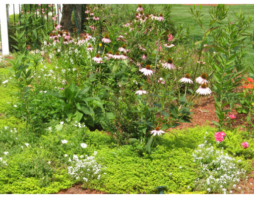 2 Old Mill Road Norfolk, MA 02056 - Photo 15 of 30 Gallery Image 15