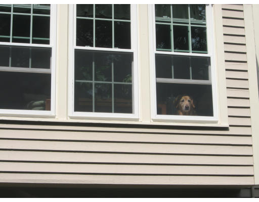 2 Old Mill Road Norfolk, MA 02056 - Photo 5 of 30 Gallery Image 5