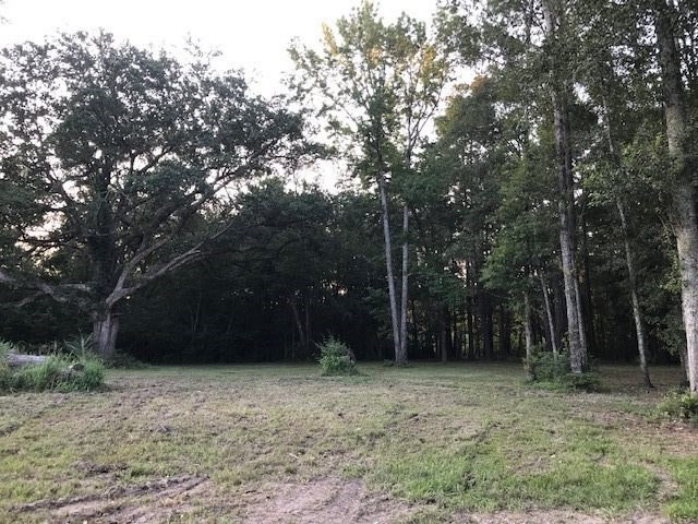 1 Styx River Road Stapleton, AL 36578 - Photo 11 of 11