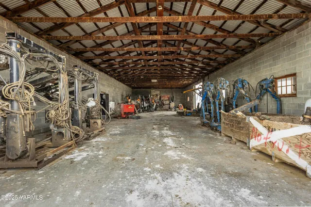 a view of a street with a large trees