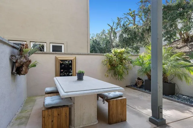 a view of a garden with plants