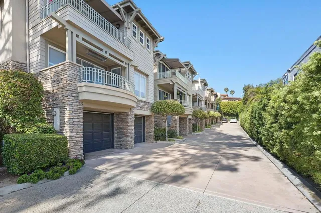 a view of a garden with plants