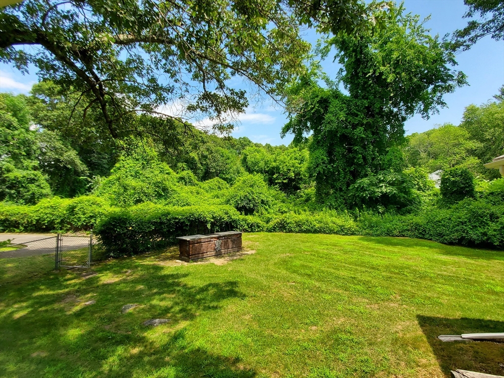 43 Deerhaven Road Lincoln, MA 01773 - Photo 3 of 35 a backyard of a house with a garden and plants
